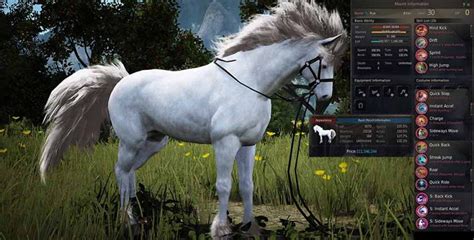 bdo how to breed horses|Black Desert Online .